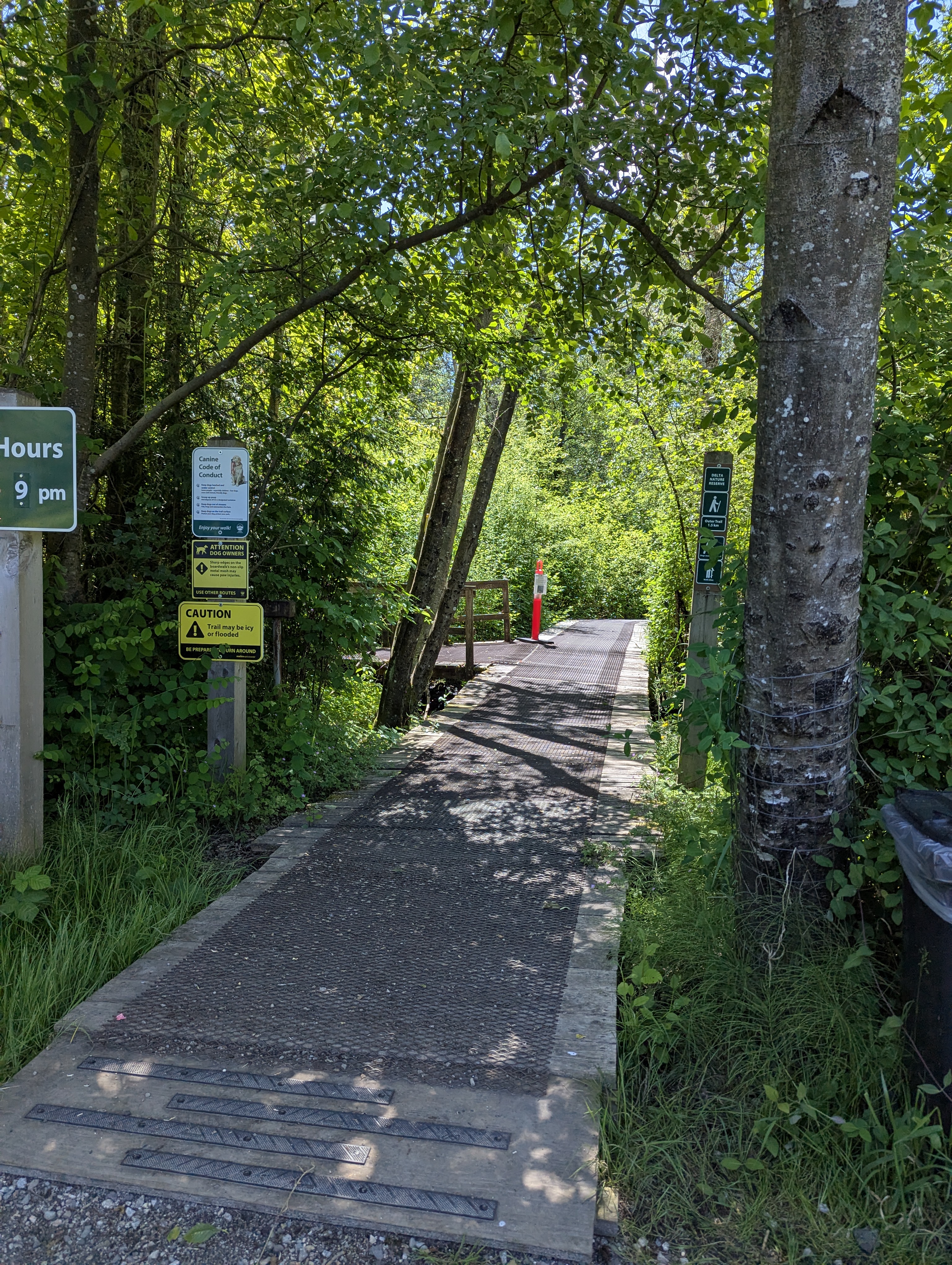 Birthday Trip to Canada, Delta, Burns Bog, Vancouver, British Columbia